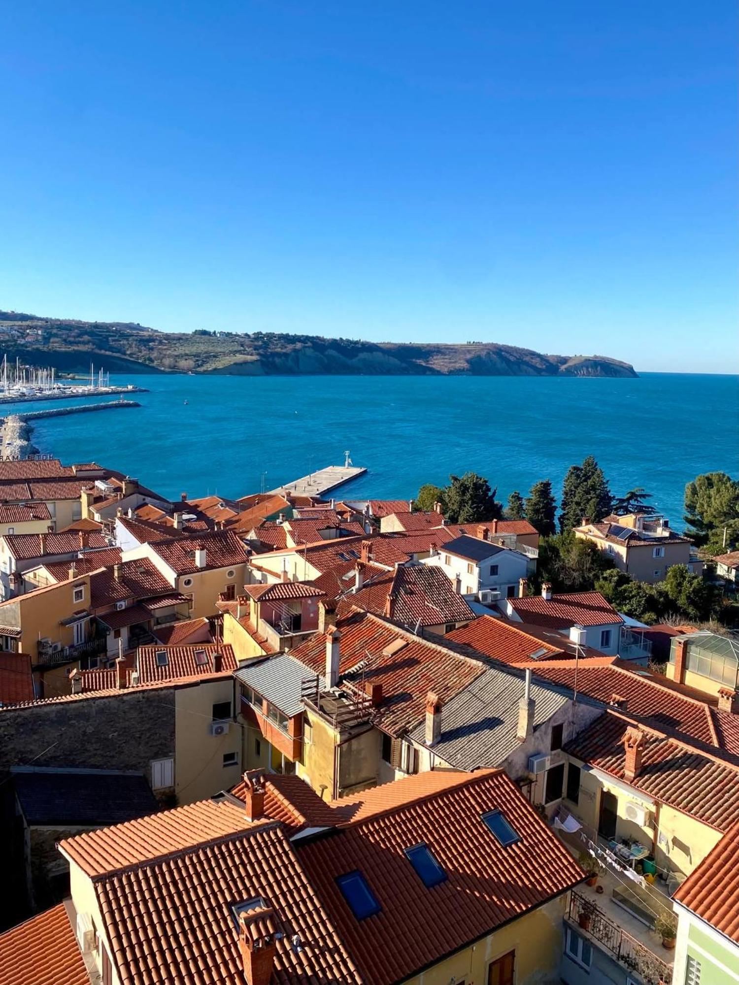 Apartma Rea Izola, Pergola & Terassa, Parking Oda fotoğraf