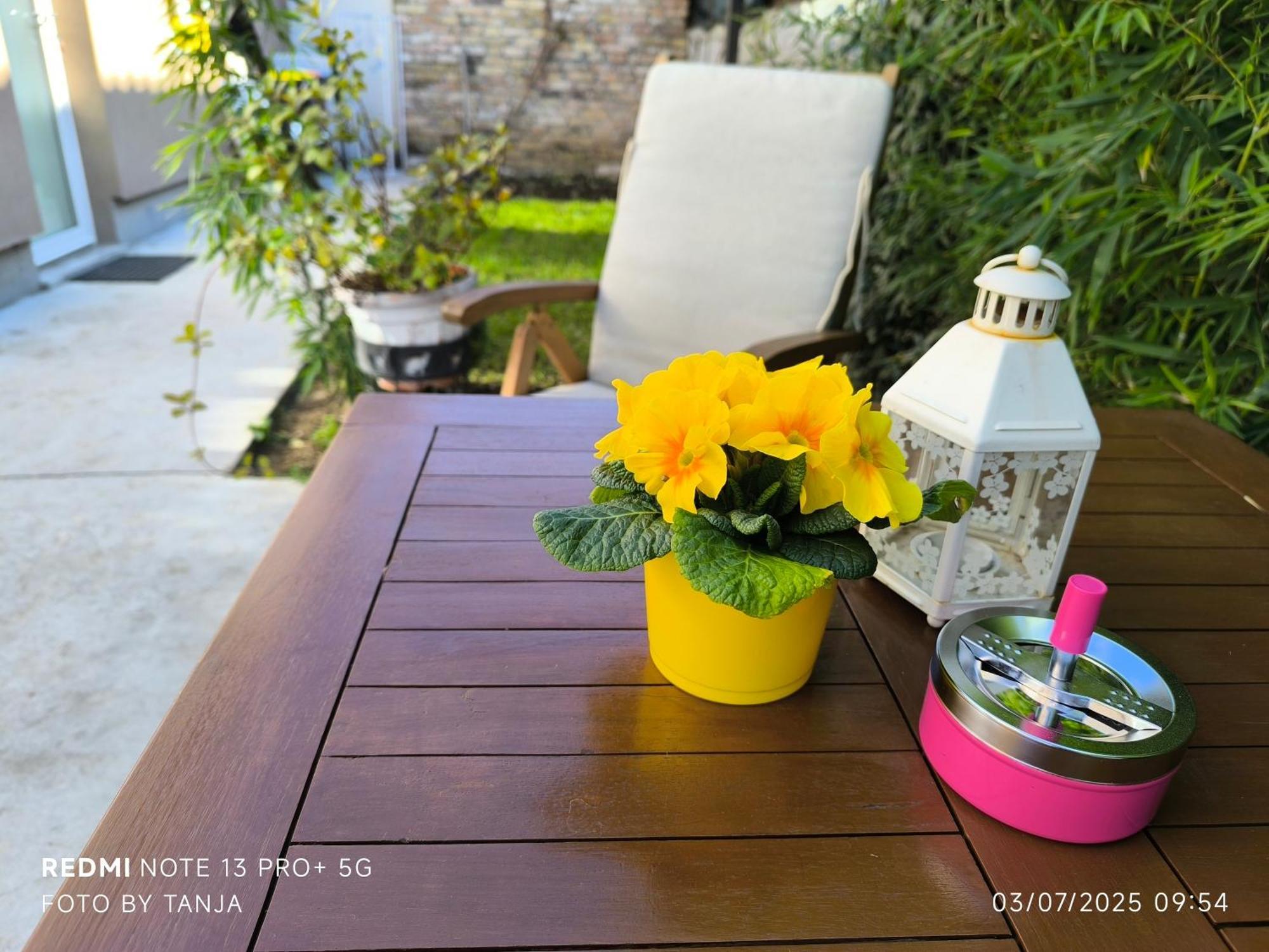 Apartma Rea Izola, Pergola & Terassa, Parking Dış mekan fotoğraf